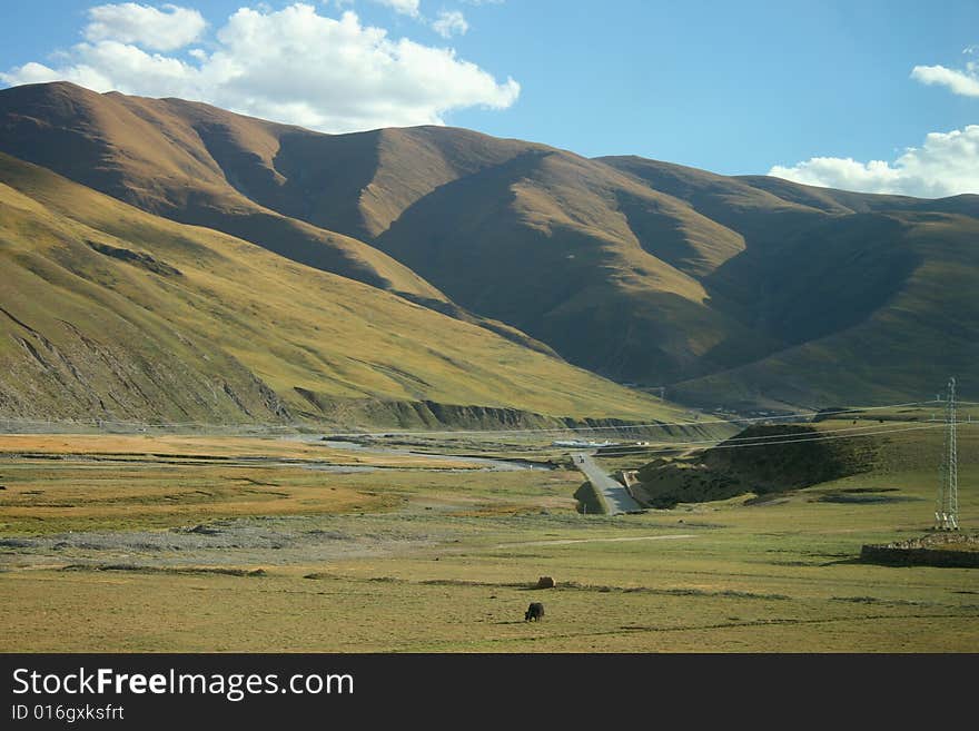 China s Tibet beauty of the Hoh Xil no man s land