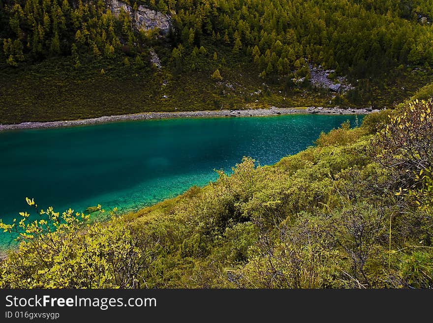 Beautiful lakes and color of the bush