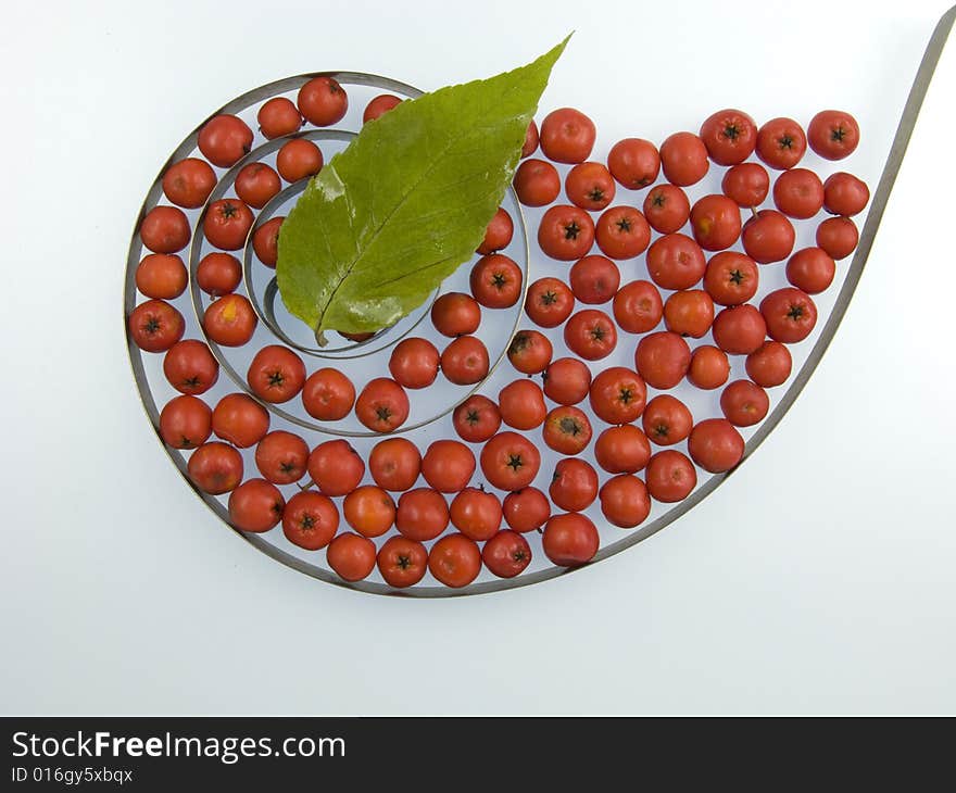 Metal spiral and berry closeup isolated