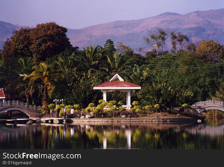 Tropical garden