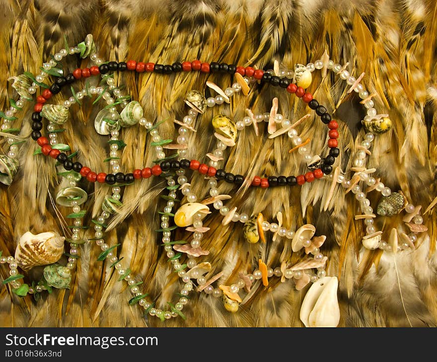 Necklace And Feather  Close-up