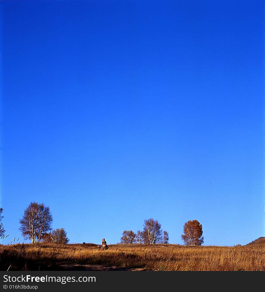 Autumn field