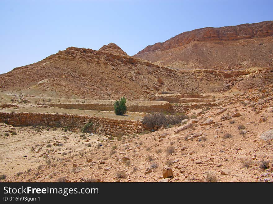 African desert