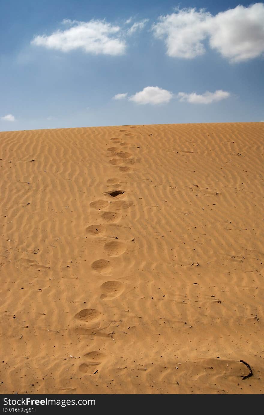 Human tracks on a sand dune