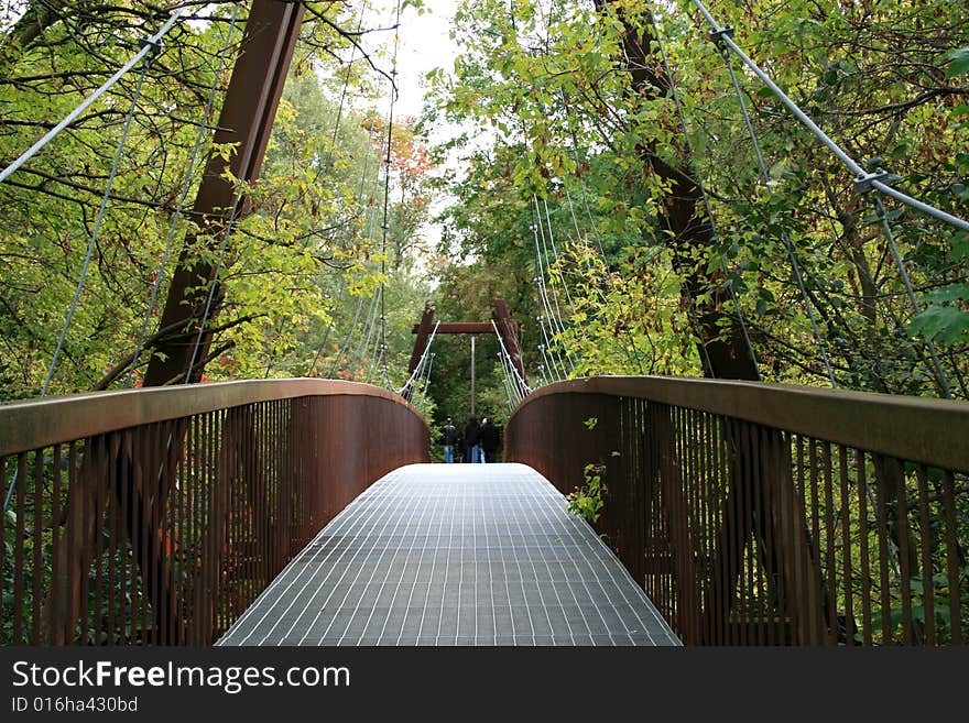 Iron bridge in the forest