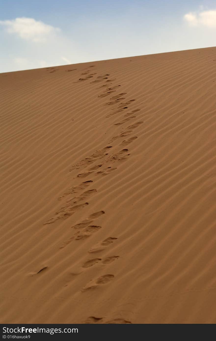 Footprints on a sand dune