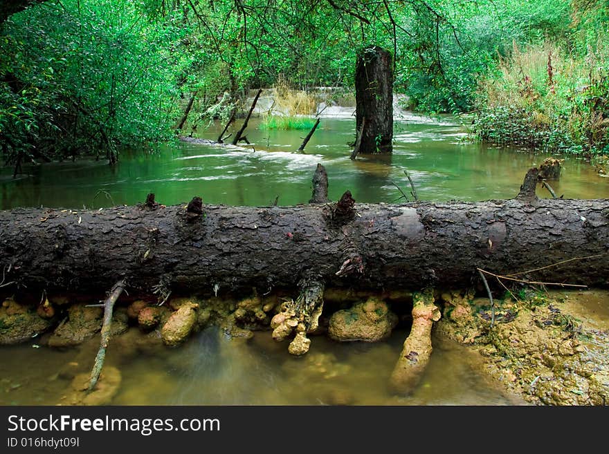 Streams to show the beautiful green, very attractive