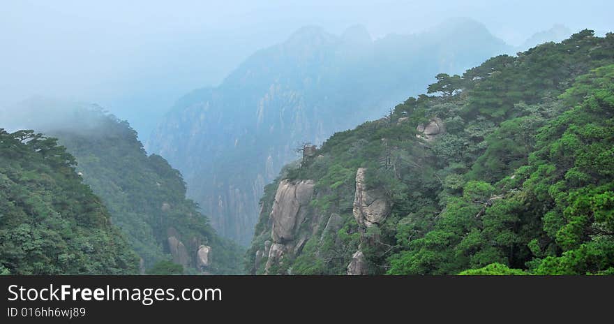 The valley is covered by luxuriant vegetation.