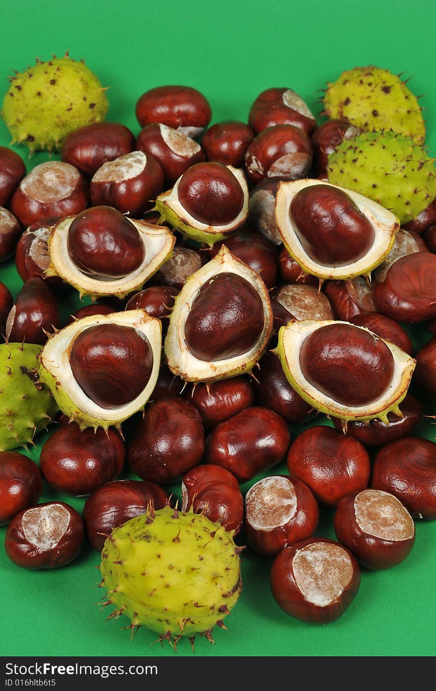 Image of a chestnuts and conkers background. Image of a chestnuts and conkers background