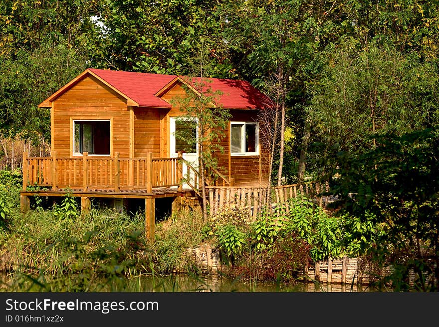 Frame houses in forest