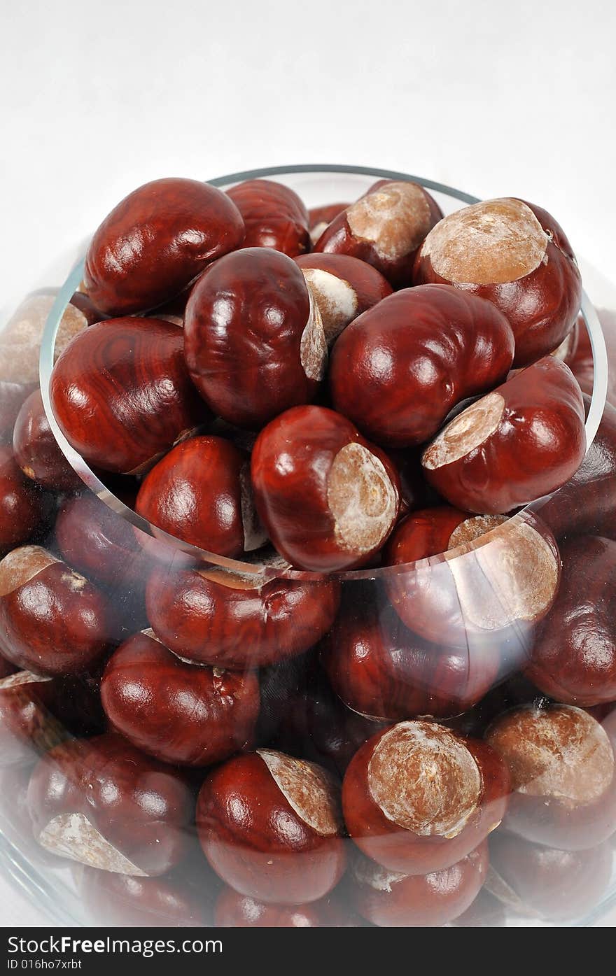 Beautiful chestnuts background