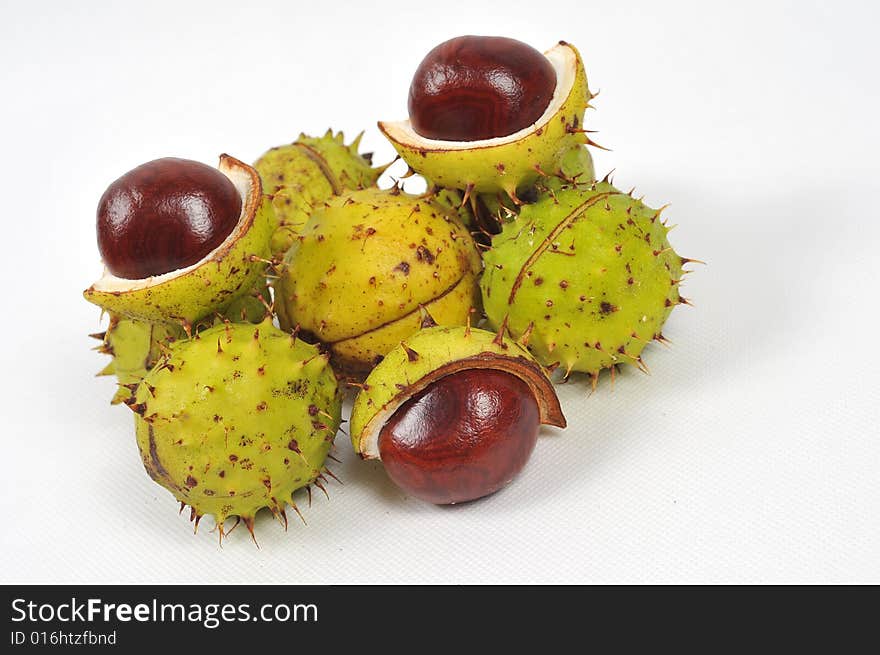 Image of a chestnuts and conkers on white background. Image of a chestnuts and conkers on white background