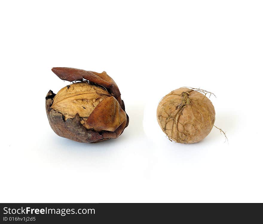 Two walnut isolated