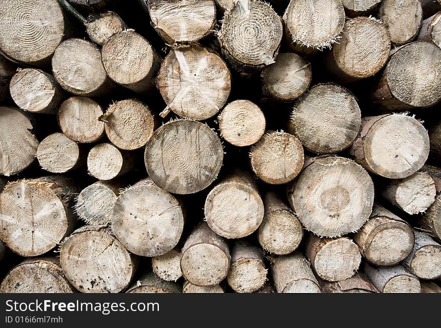Plain view of many woodpiles in stack. Plain view of many woodpiles in stack
