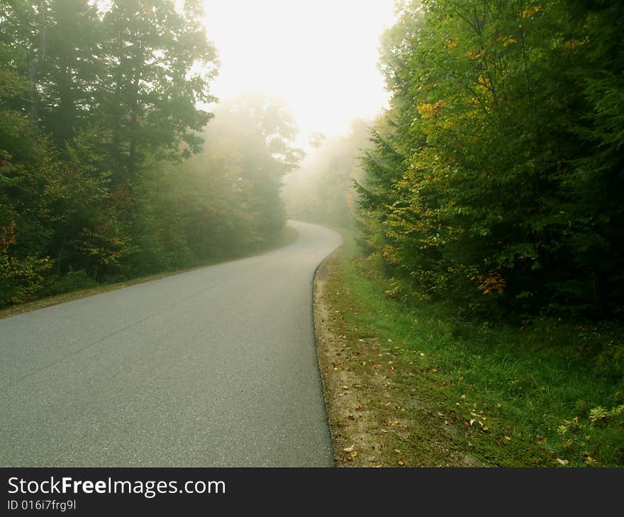 Road leads to foggy fall forest. Road leads to foggy fall forest