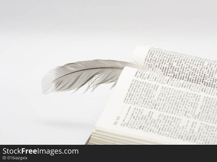 Feather on book on white background