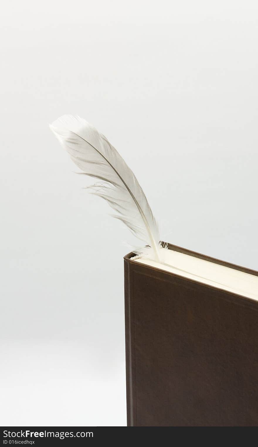 Book with feather on white background