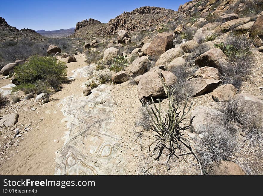 Landscape of Big Bend