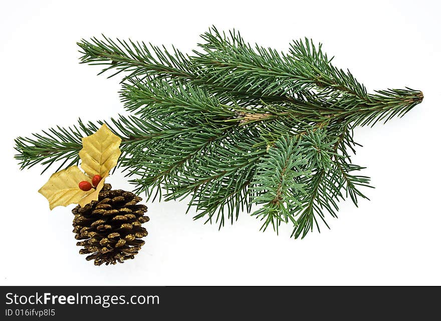 Fir tree brench isolated on white