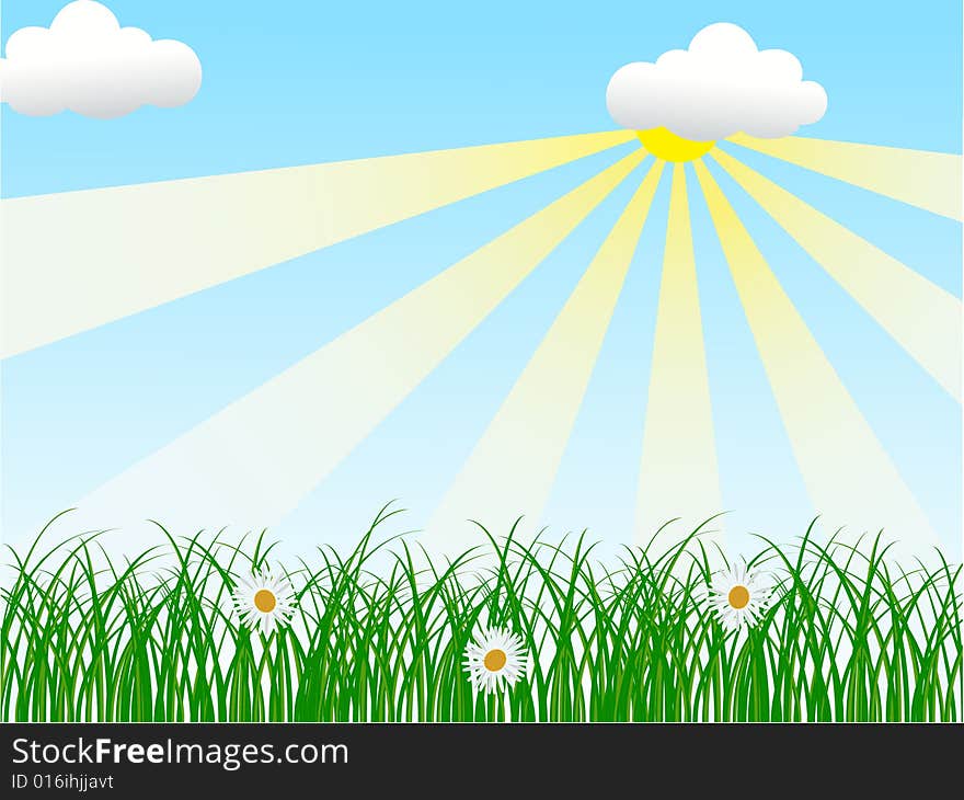 Landscape with grass, flowers and sunny sky. Landscape with grass, flowers and sunny sky.