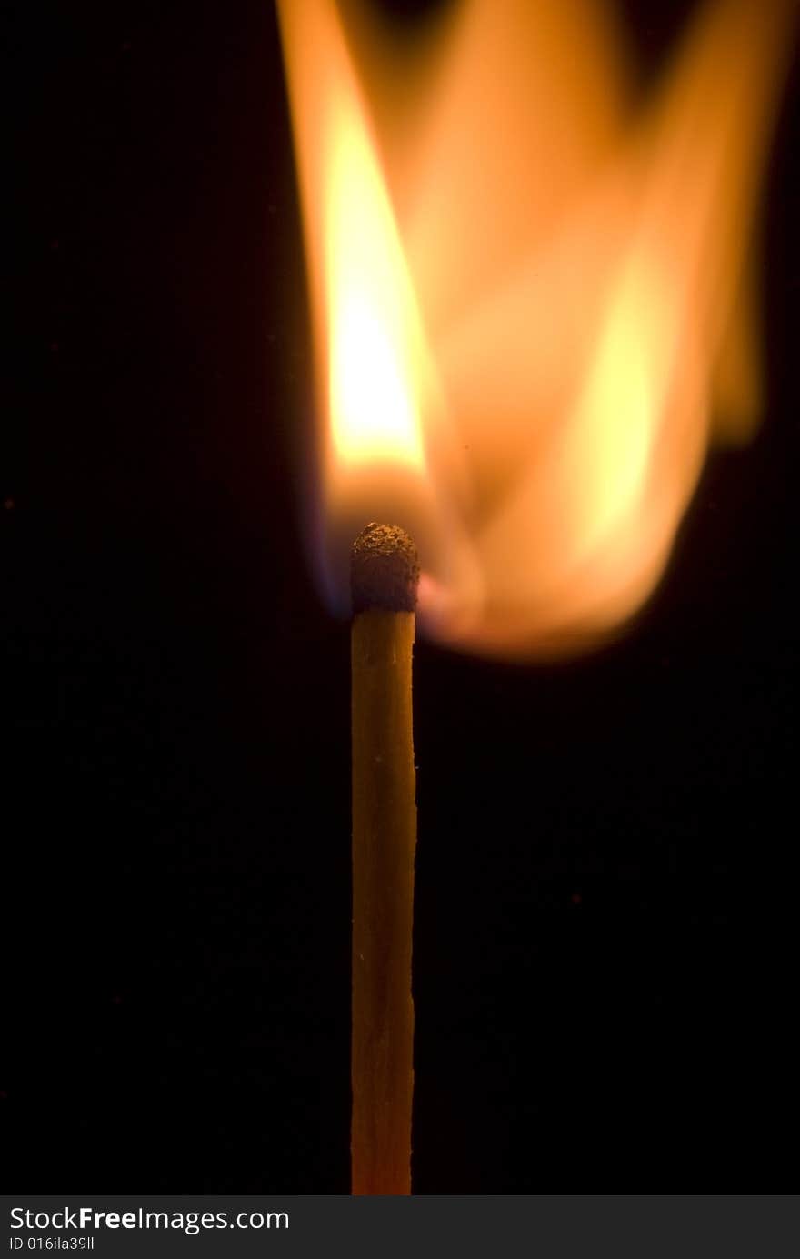 Burning match on the black background, nice flame