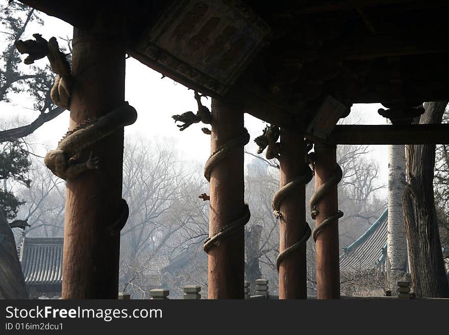 Dragon Wood Columns