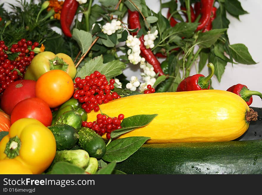 Vegetable Still Life