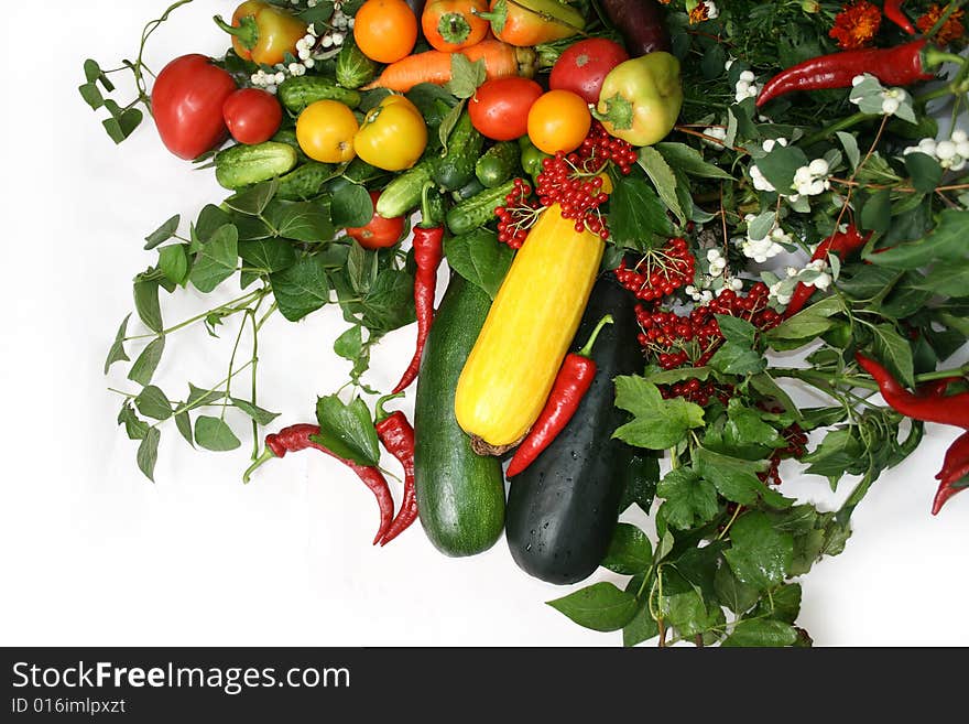 Vegetable Still Life