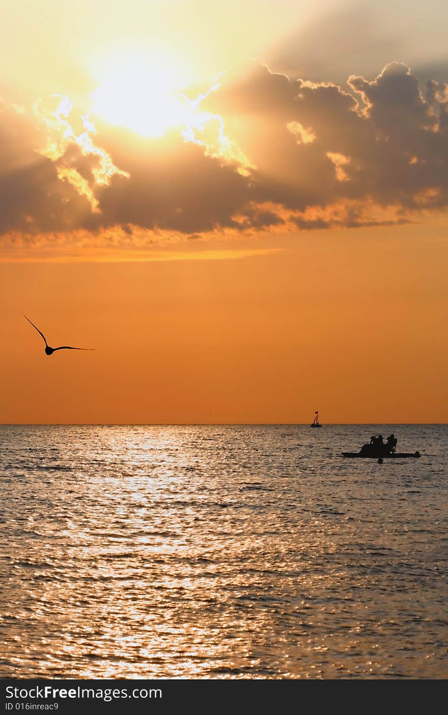 The sea lighted up by a sunset, a seagull and a ship. The sea lighted up by a sunset, a seagull and a ship