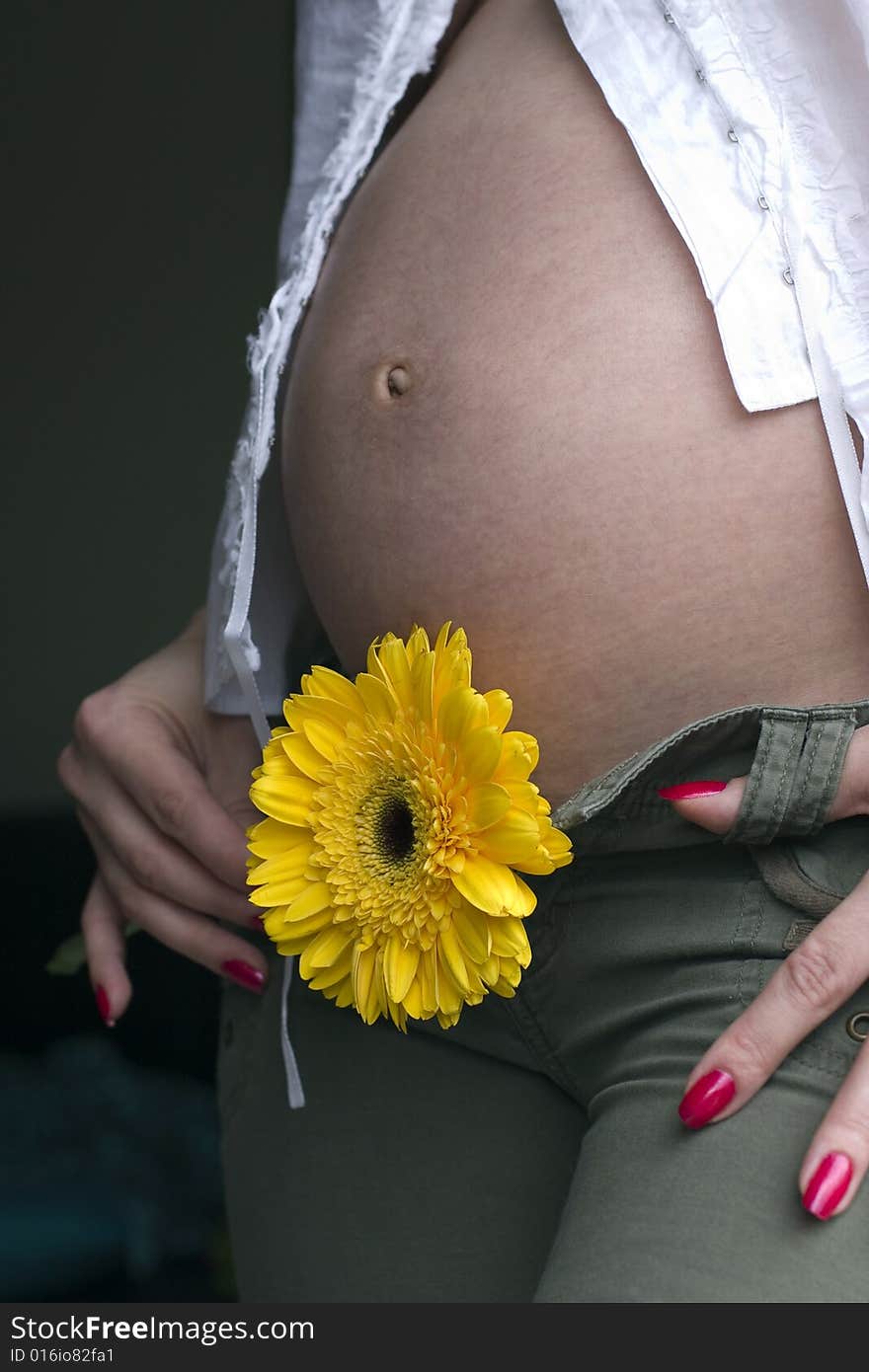 Close up of a Preagnant woman's belly. Close up of a Preagnant woman's belly