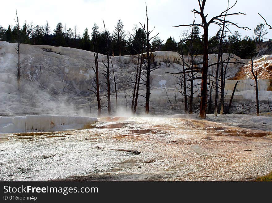 Geyser marks (2)