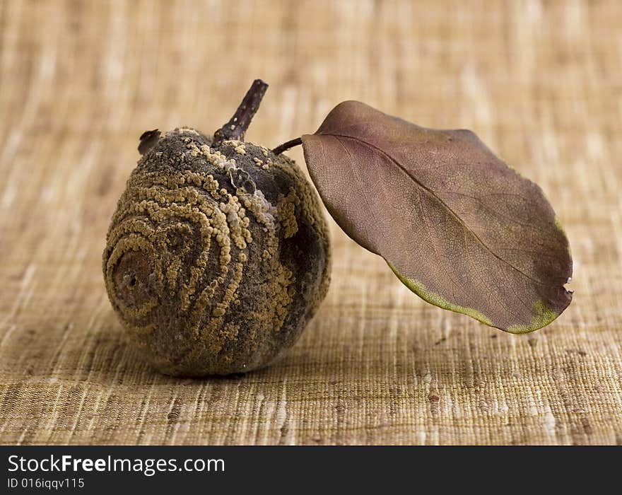 Rotten apple close-up isolated on brown background