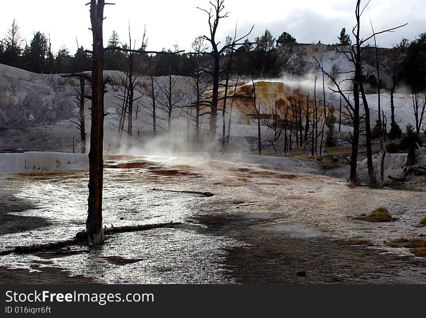 Geyser Marks (3)