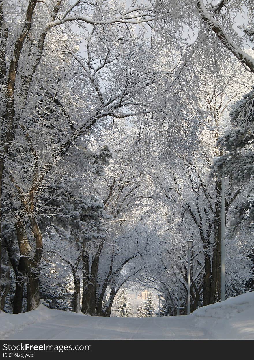 Road covered with snow