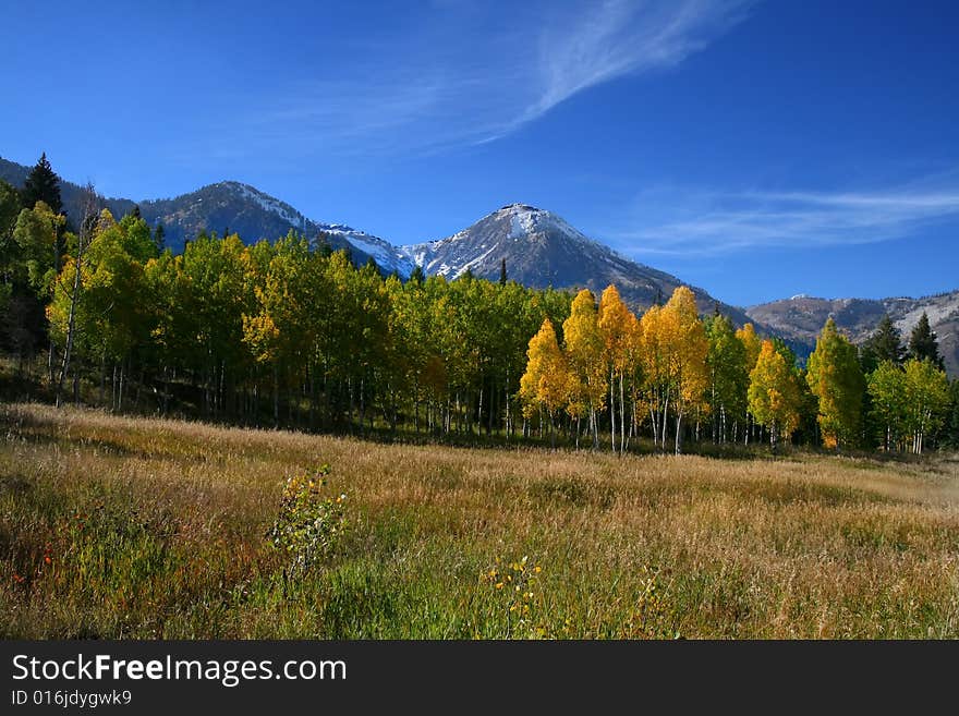 Mountain Meadow in the fall with blue skys. Mountain Meadow in the fall with blue skys