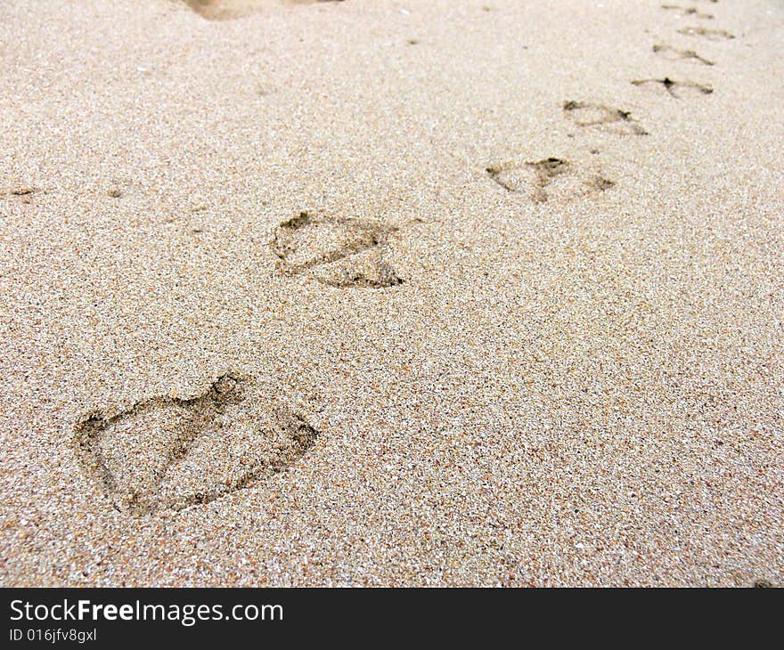 Footprint in the golden sand