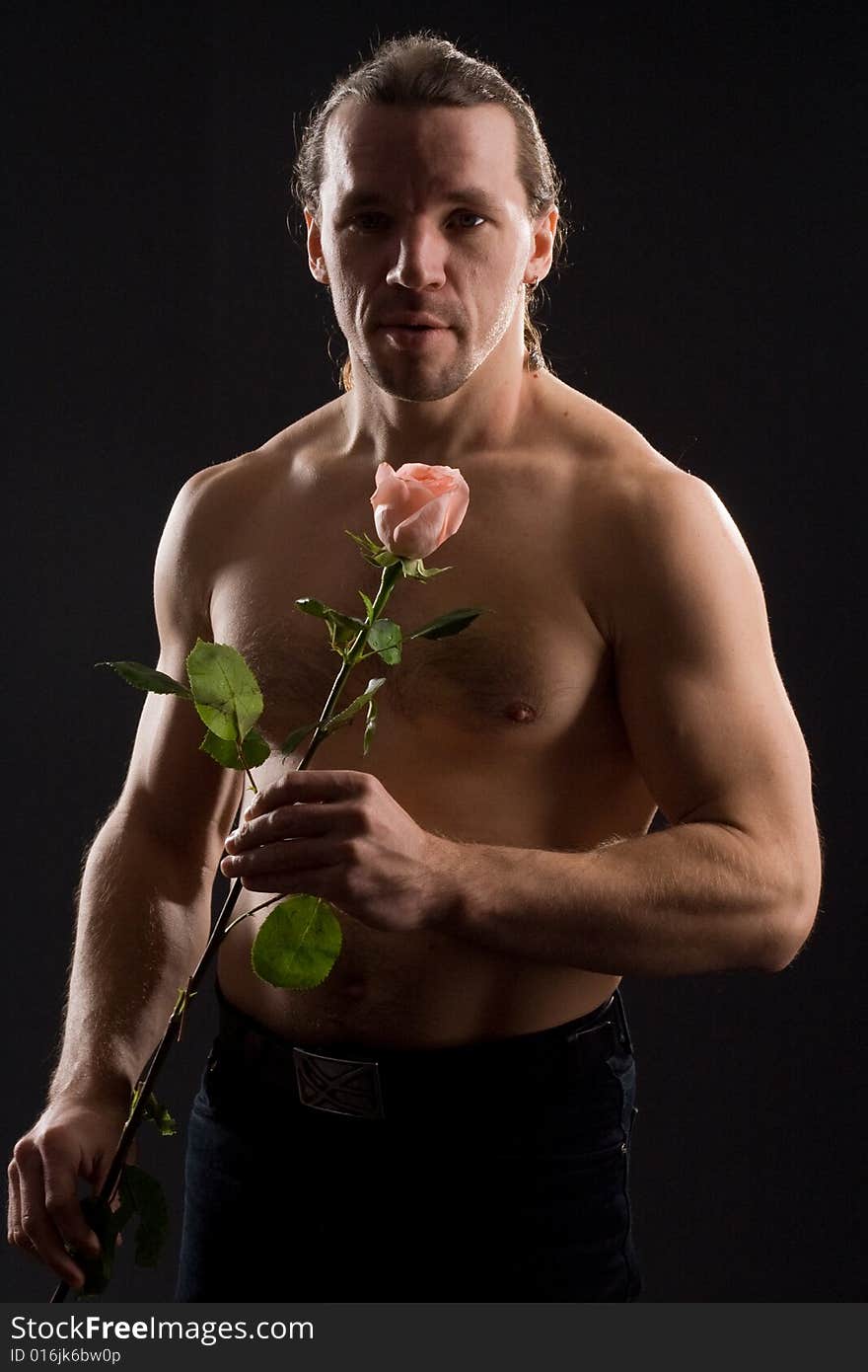 Standing romantic man with pink rose. Standing romantic man with pink rose