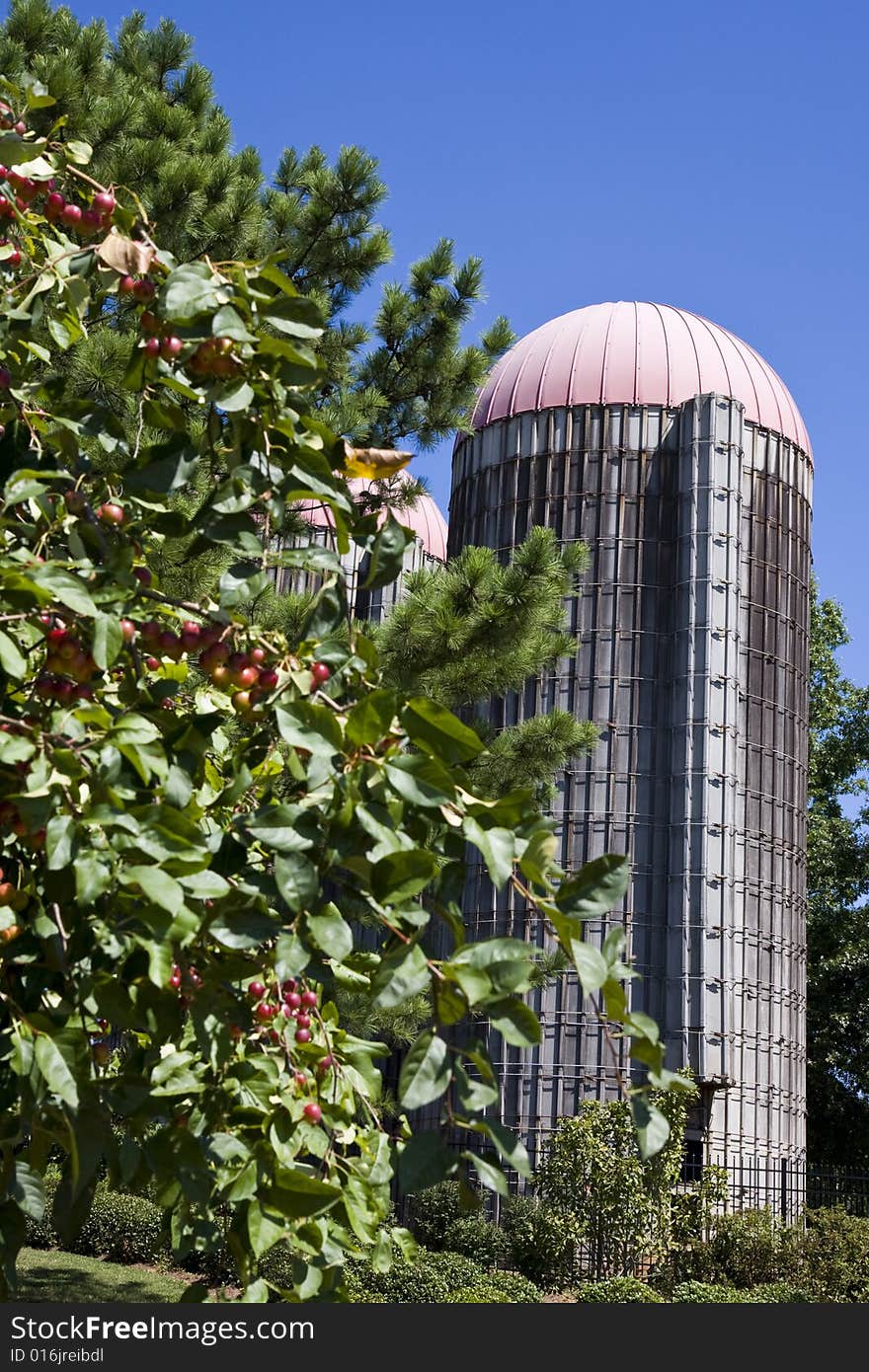 An old grain silo past a crabapple tree against blue sky. An old grain silo past a crabapple tree against blue sky