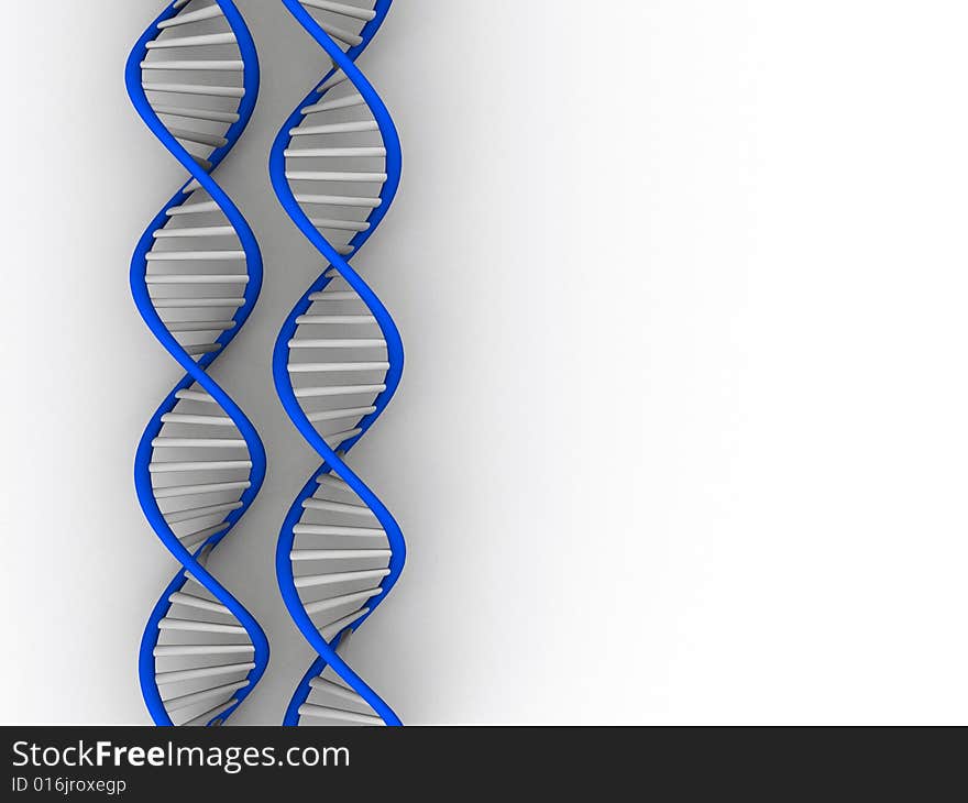 DNA Structure