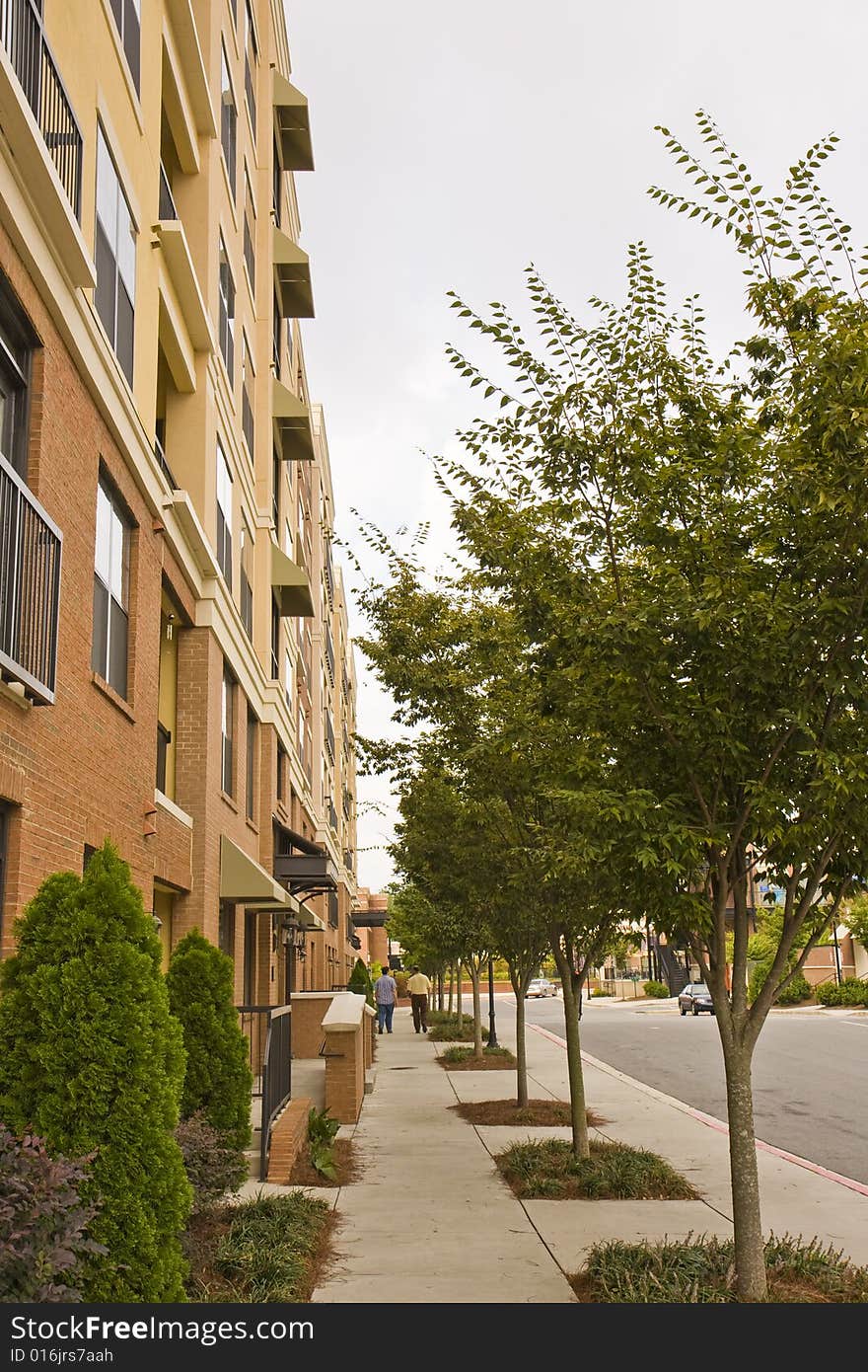 A tree line sidewalk along a modern condo building. A tree line sidewalk along a modern condo building