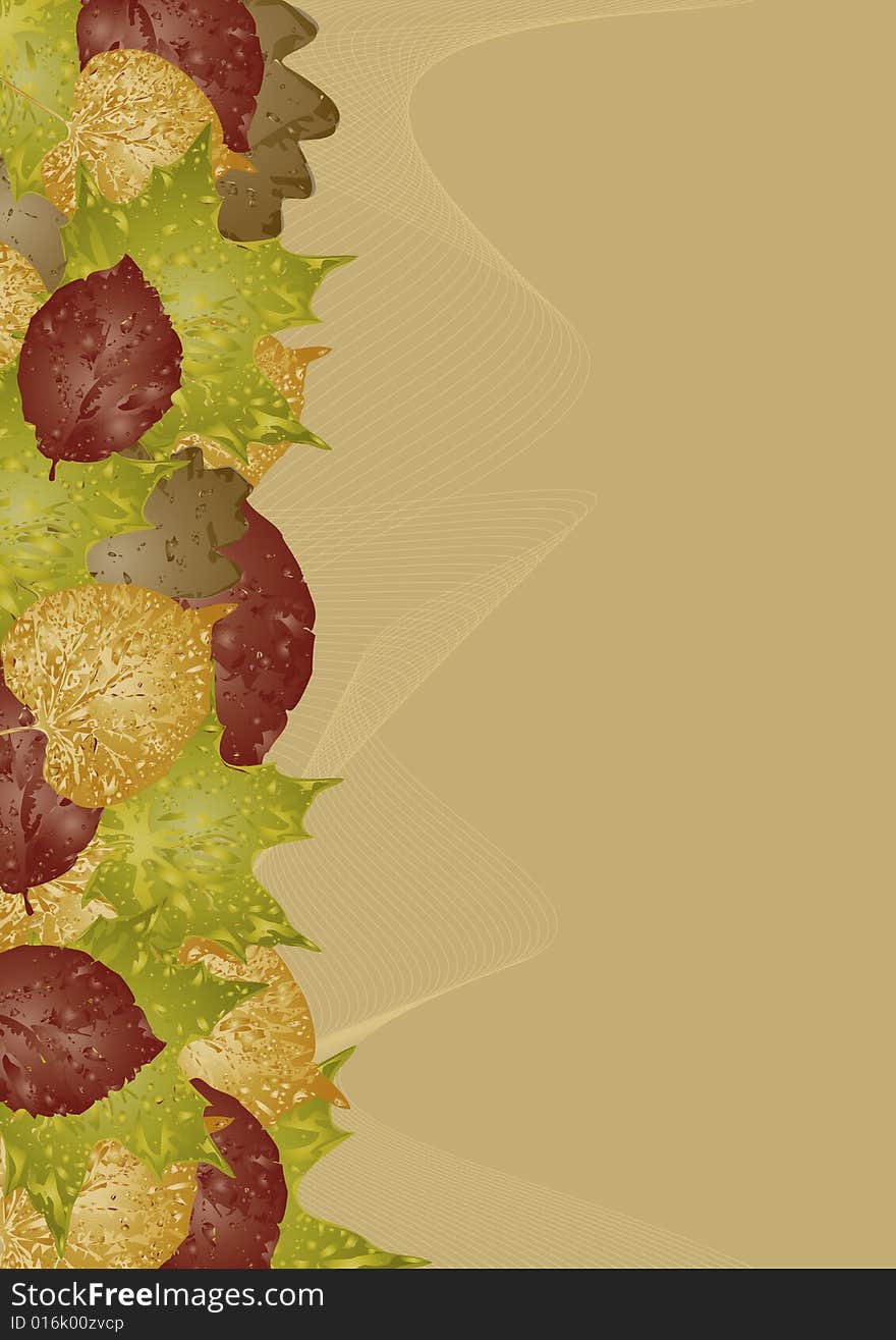 Autumn leaves background