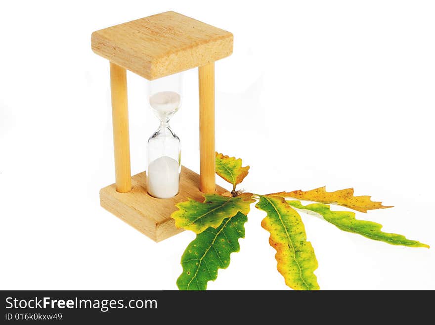 Egg timer and leaves