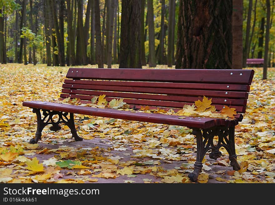 Bench in autumn park