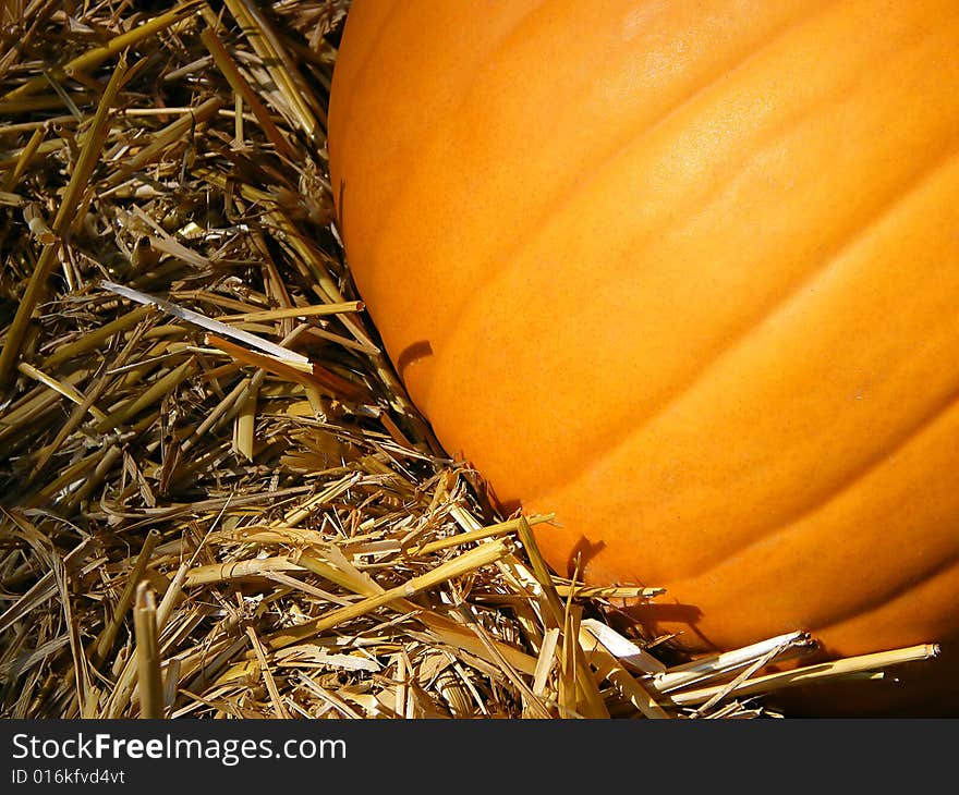 Orange pumpkin on the straw. Orange pumpkin on the straw