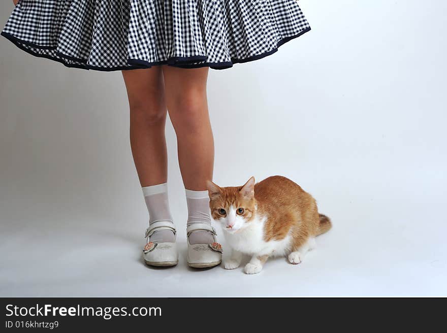 A girls legs and his cat standing side by side. A girls legs and his cat standing side by side