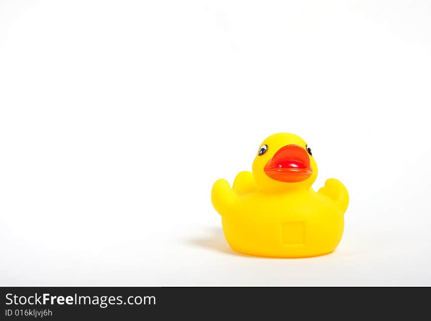 Close up of yellow rubber duck on white background