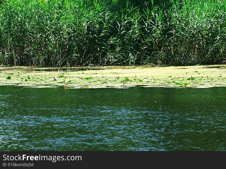 A large Danube Channel in Romania. A large Danube Channel in Romania