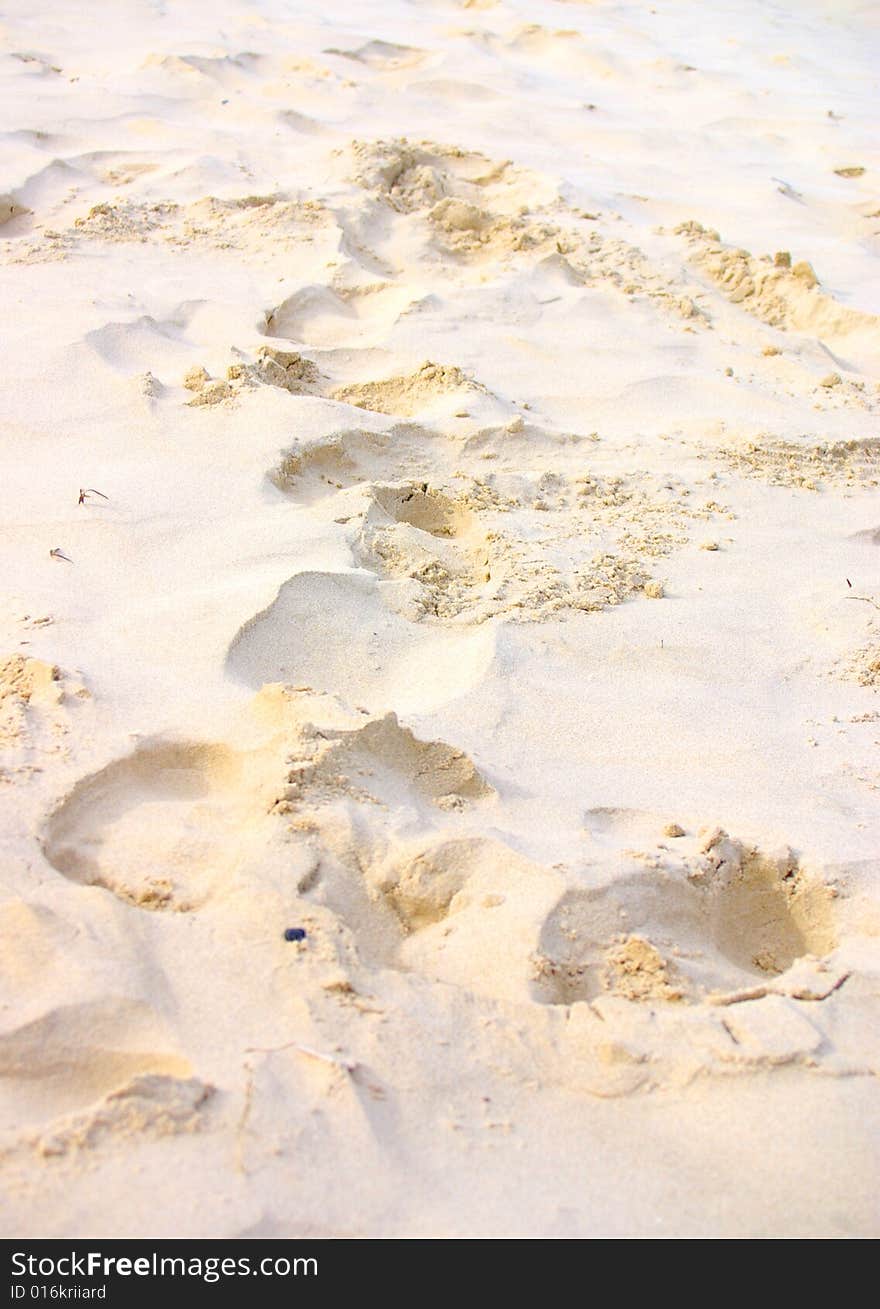 Sandy footprints at Byron Bay (Australia)