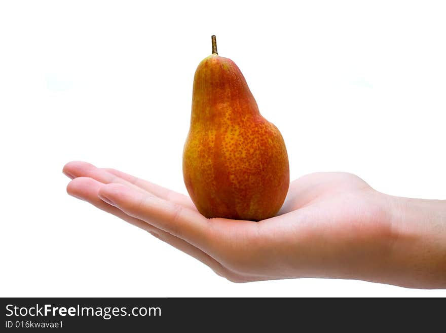 Fresh pear on palm on white background