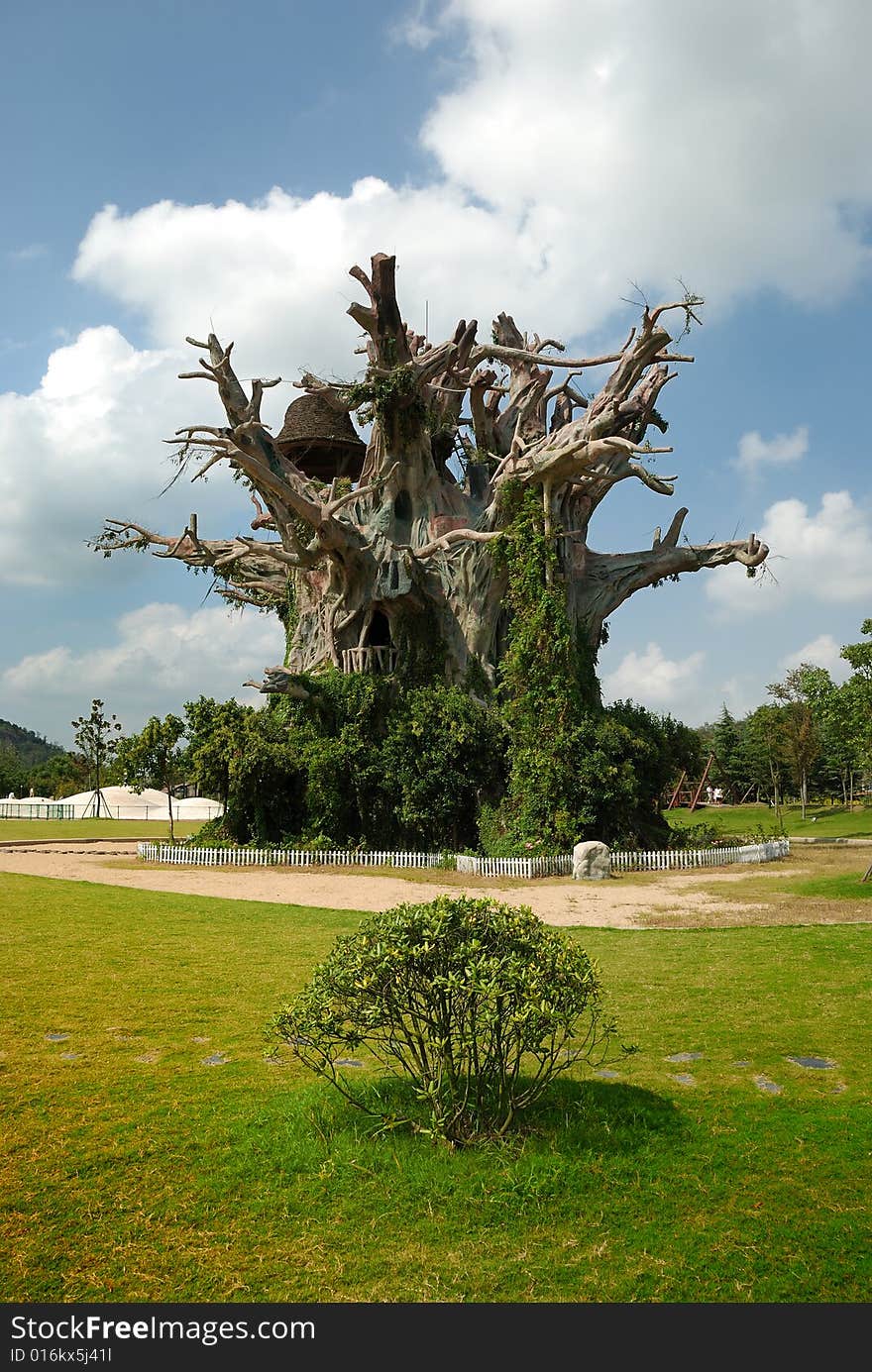 Big tree in a park